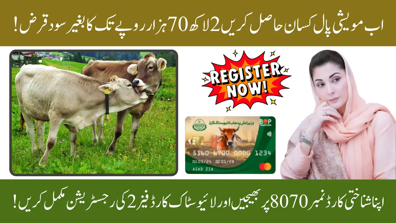 Livestock Card Phase 2 Eligibility Criteria and Registration Process To Get Up to Rs 270,000 Interest-Free Loan