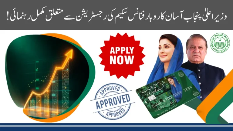 Penalties, Repayments, and Grace Periods and Registration of CM Punjab Asaan Karobar Finance Scheme