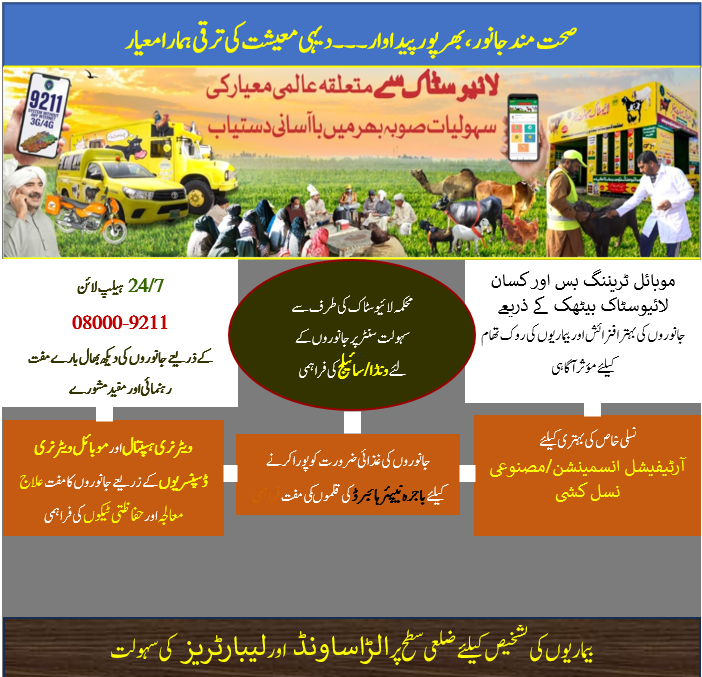 Livestock Distribution Program Punjab In 12 Districts Free Cows and Buffaloes