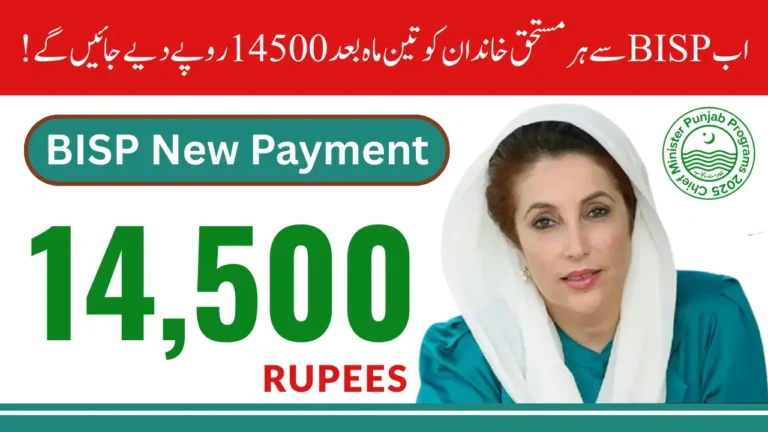 BISP Payment Increase 2026 Portal – How to Track Your Payment Online and Offline