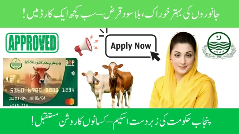 Complete Guide to Livestock Card Phase II – Eligibility, Registration Process, and Benefits
