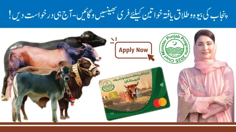 Complete Guide to Punjab Livestock Distribution Phase II – Eligibility, Registration Process, and Free Cattle Scheme by CM Maryam Nawaz