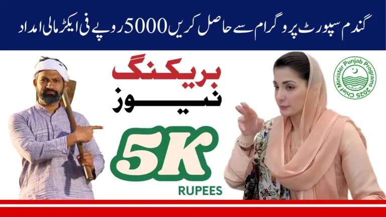 Wheat Support Program 2025 Helpline Numbers for Small Punjab Farmers and How to Apply Without Internet