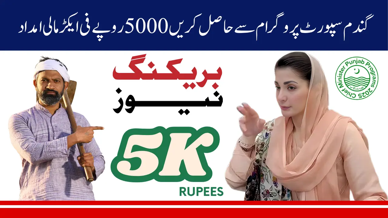 Wheat Support Program 2025 Helpline Numbers for Small Punjab Farmers and How to Apply Without Internet