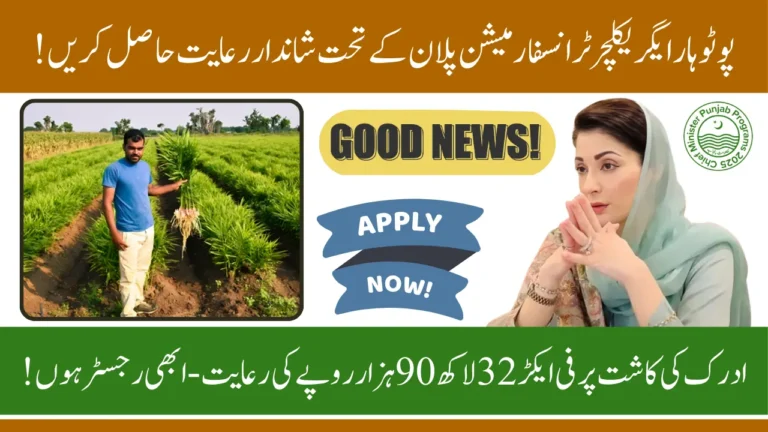 Potohar Agriculture Transformation Plan - Ginger Subsidy, Eligible Districts, and Application Process