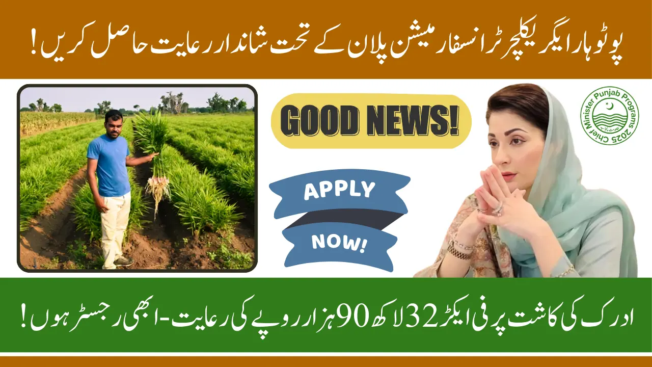 Potohar Agriculture Transformation Plan - Ginger Subsidy, Eligible Districts, and Application Process