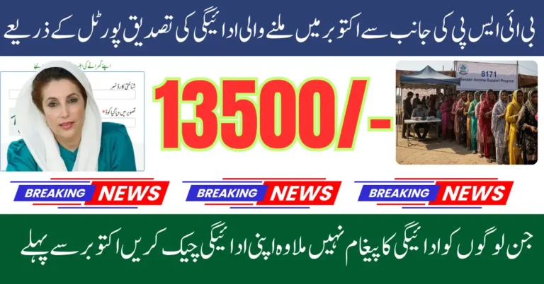 8171 Web Portal October Update 2025 Full Guide to Check Payment Status by CNIC