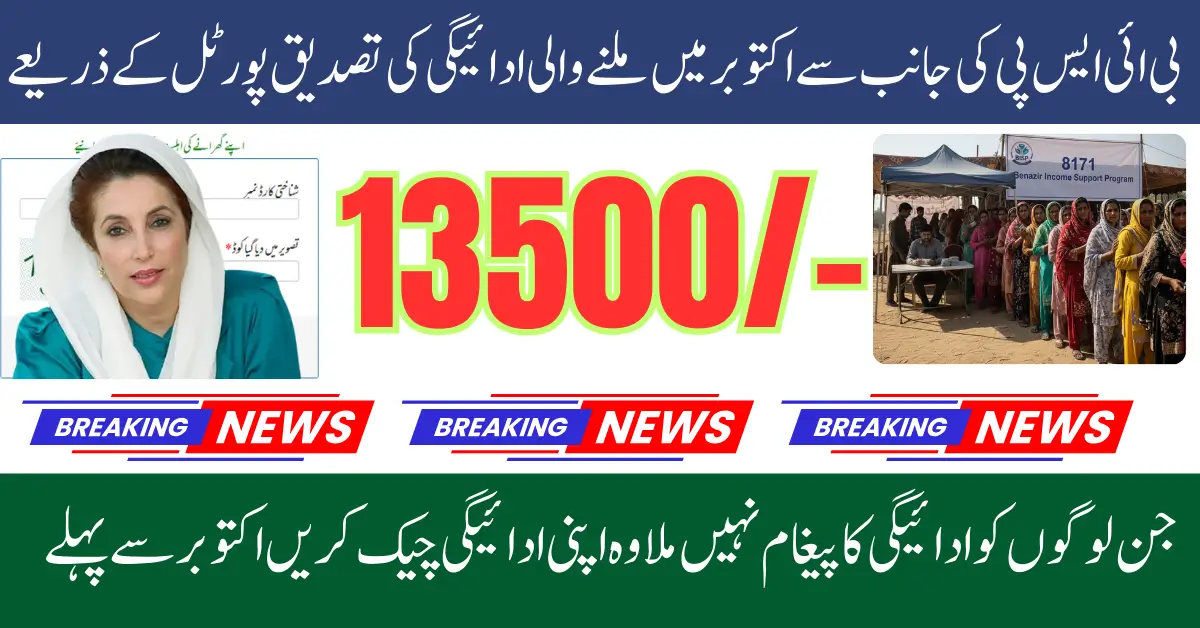 8171 Web Portal October Update 2025 Full Guide to Check Payment Status by CNIC
