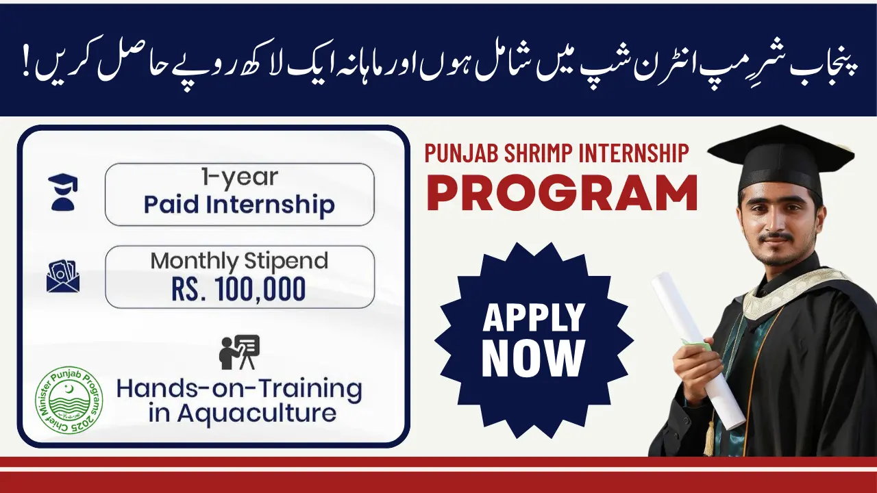 Punjab Shrimp Internship Program How to Apply, Benefits & Deadlines 2025