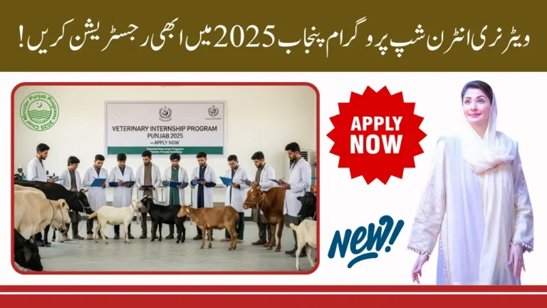 Veterinary Internship Program Punjab 2025 – Full Application Guide for DVM & ParaVets Graduates