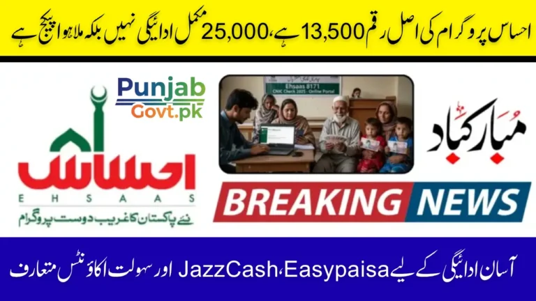 Ehsaas Program 25000 CNIC Check 2025 – Check New Oct Update