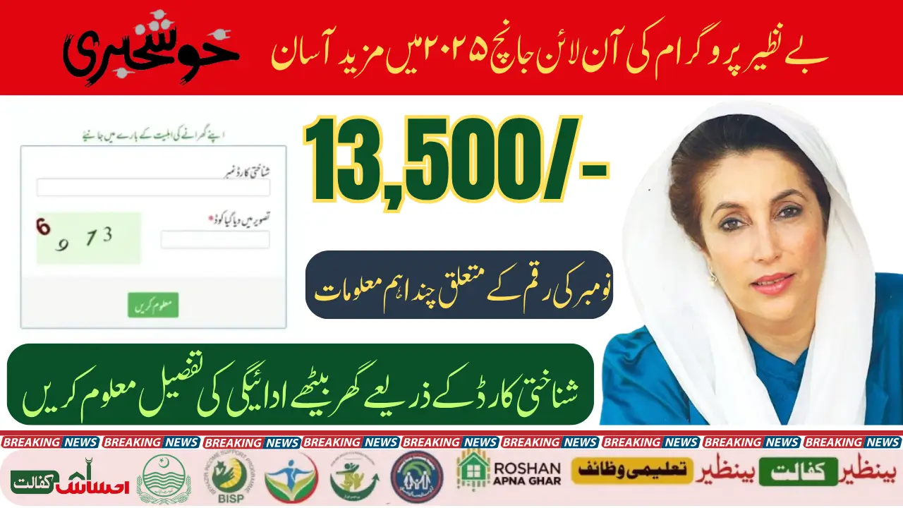 BISP 8171 Balance Check Online by CNIC 2025 & Check November Payment Details