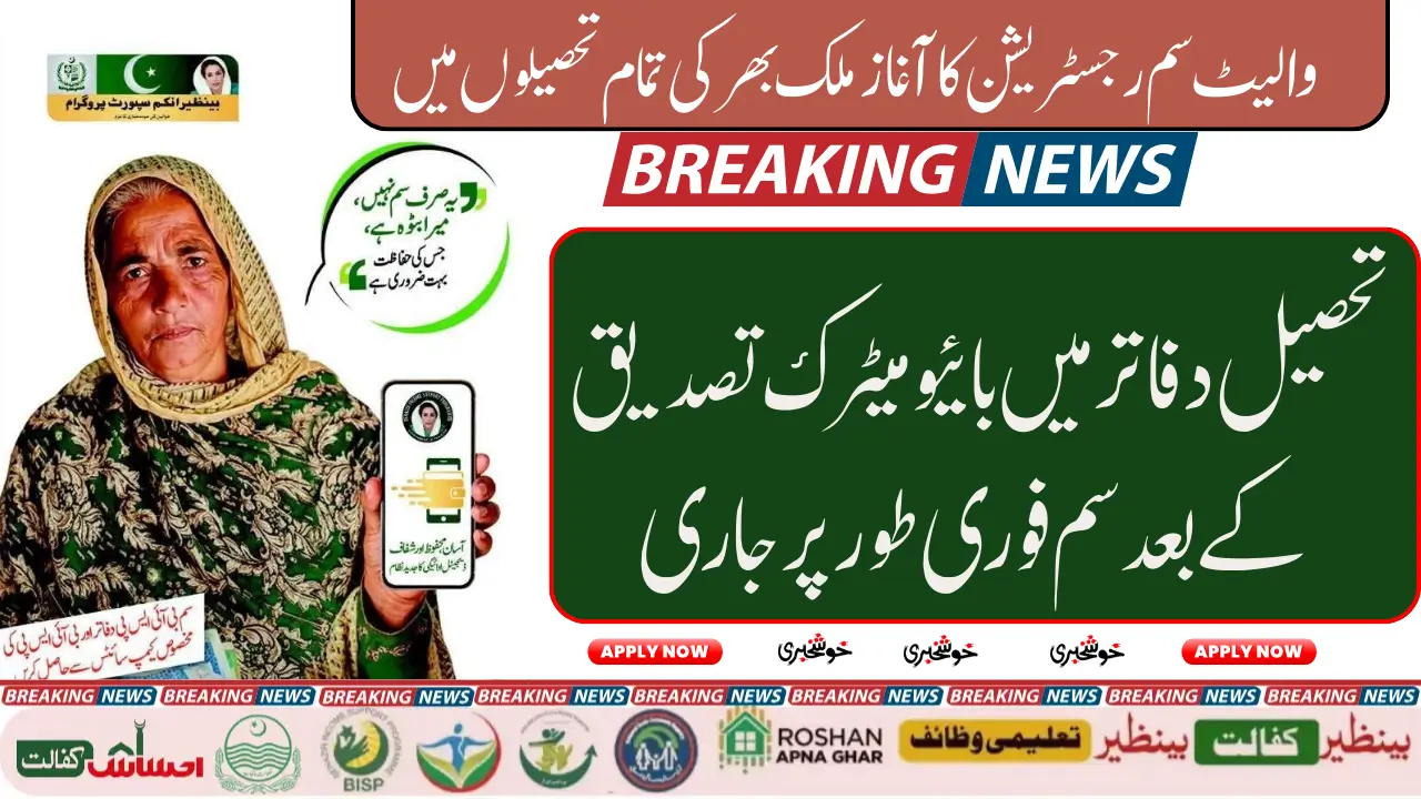 BISP Wallet SIM Registration Open in All Tehsils District-Wise Registration Process